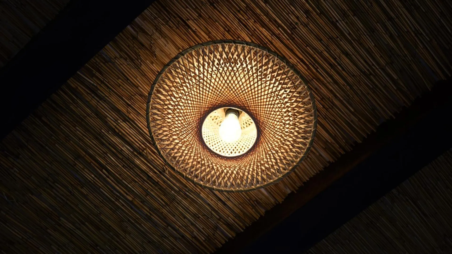 Apartment Sleep Inn Antwerp - Flats & Suites